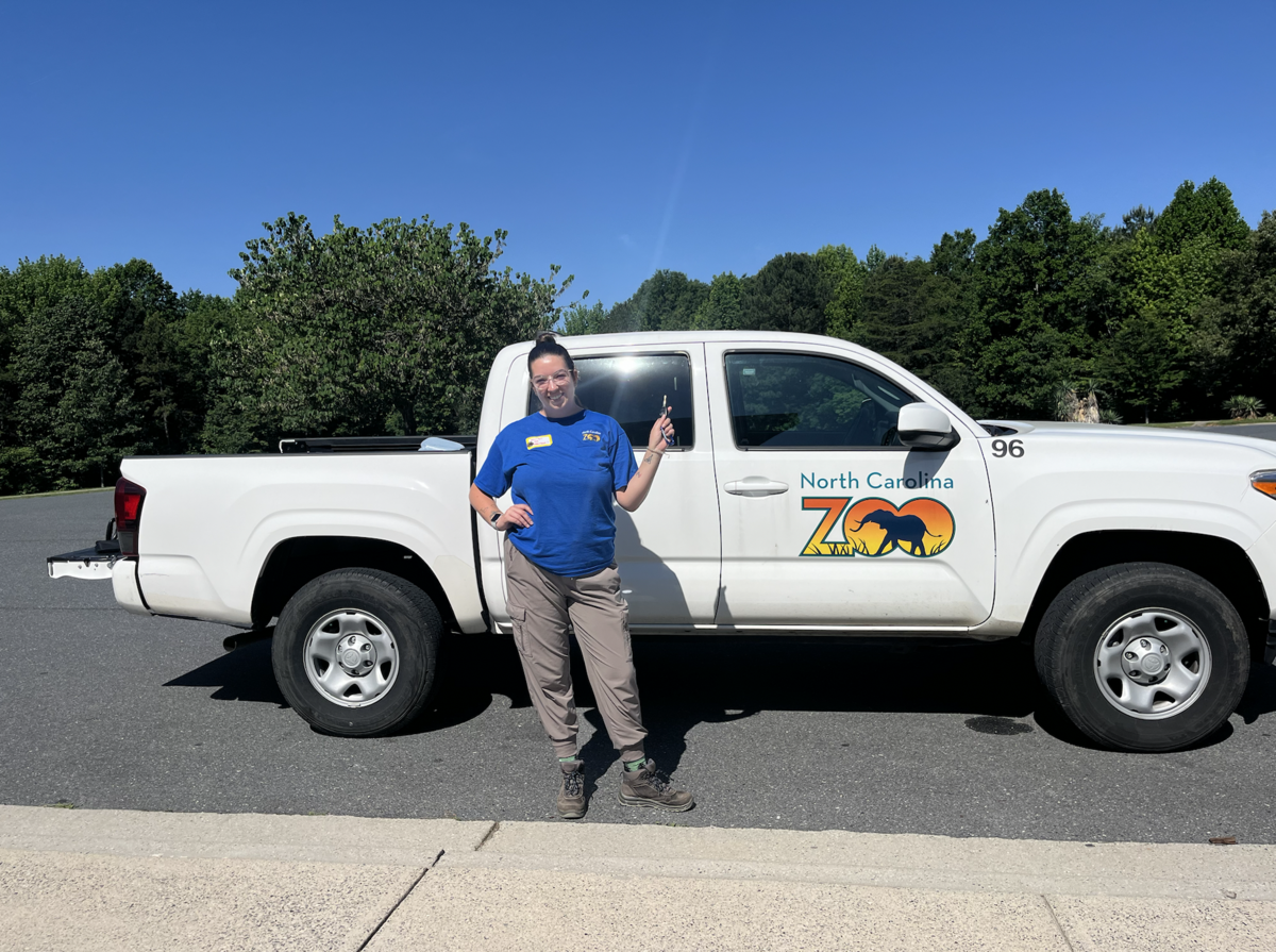 Mirren Hill is a recently certified environmental educator through the N.C. program. She says the certification helped her get a seasonal job at the N.C. Zoo and her current job as a middle school science teacher.